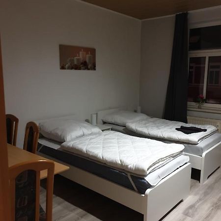 Fewo Nina 3 - Monteurwohnung Weißenfels Eksteriør billede