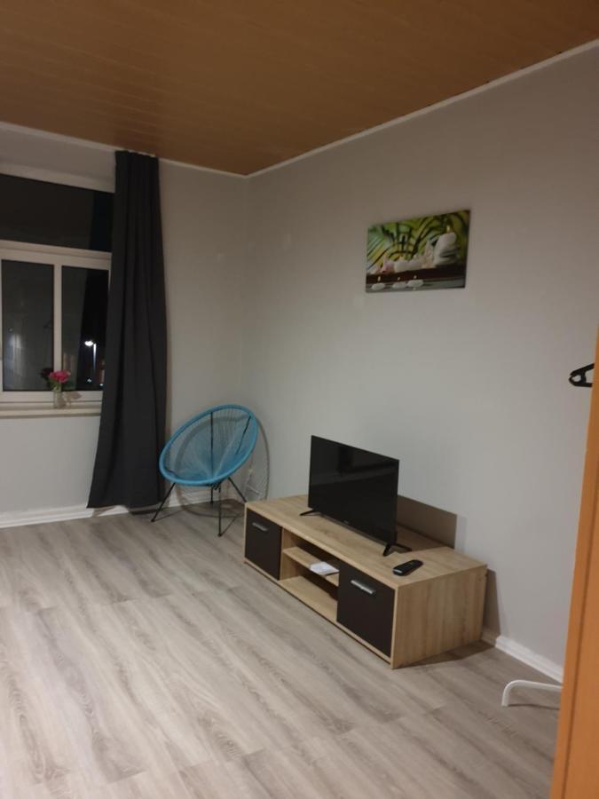 Fewo Nina 3 - Monteurwohnung Weißenfels Eksteriør billede